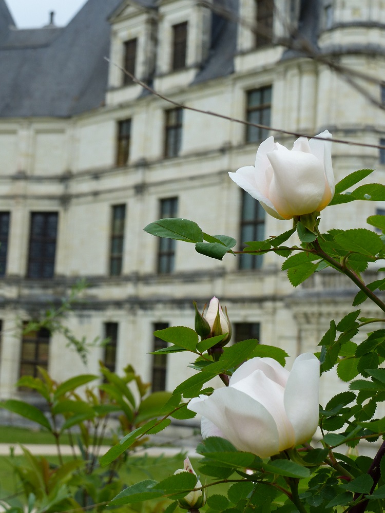 Jardin de Chambord