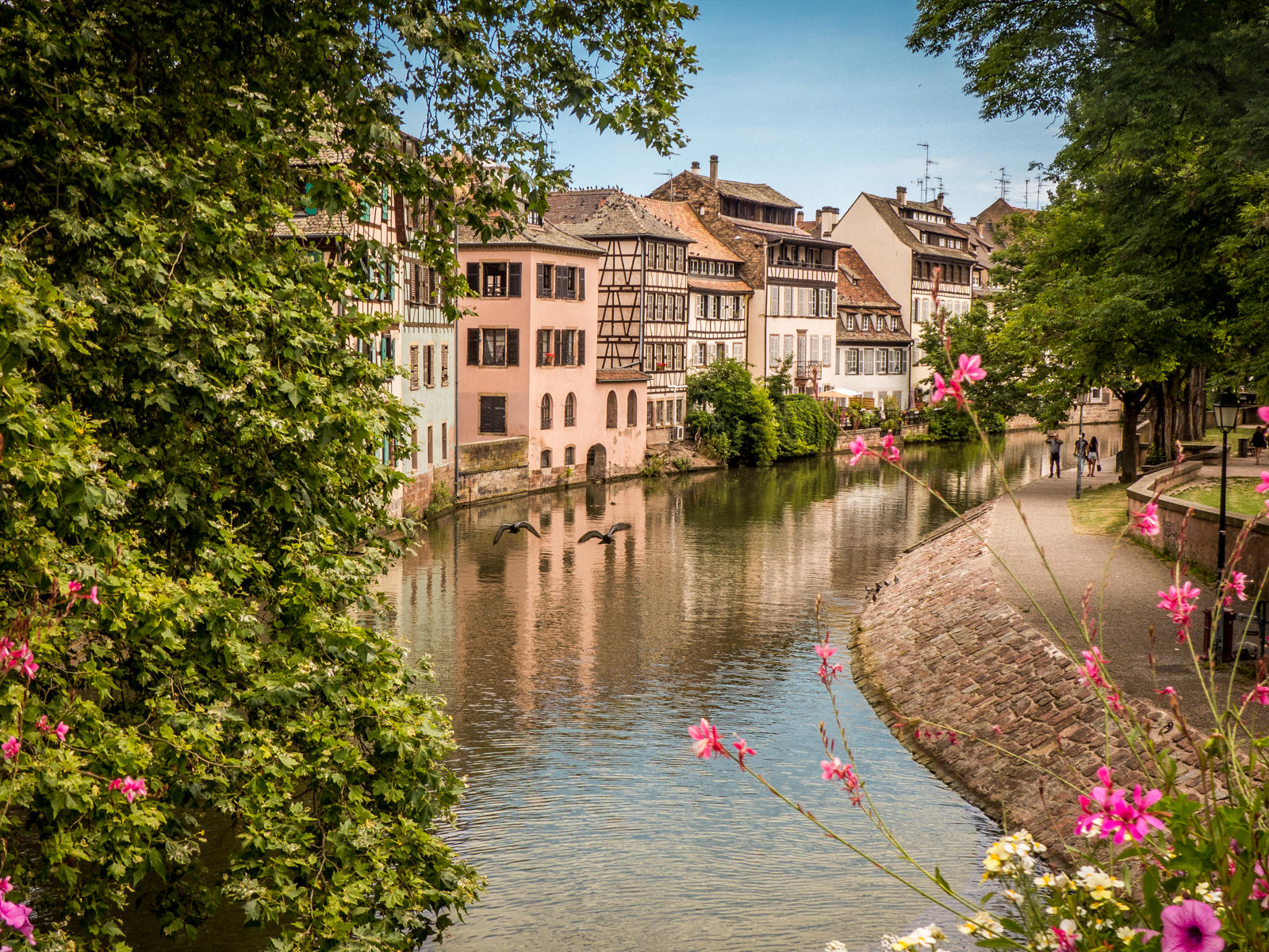 Les canaux de Strasbourg