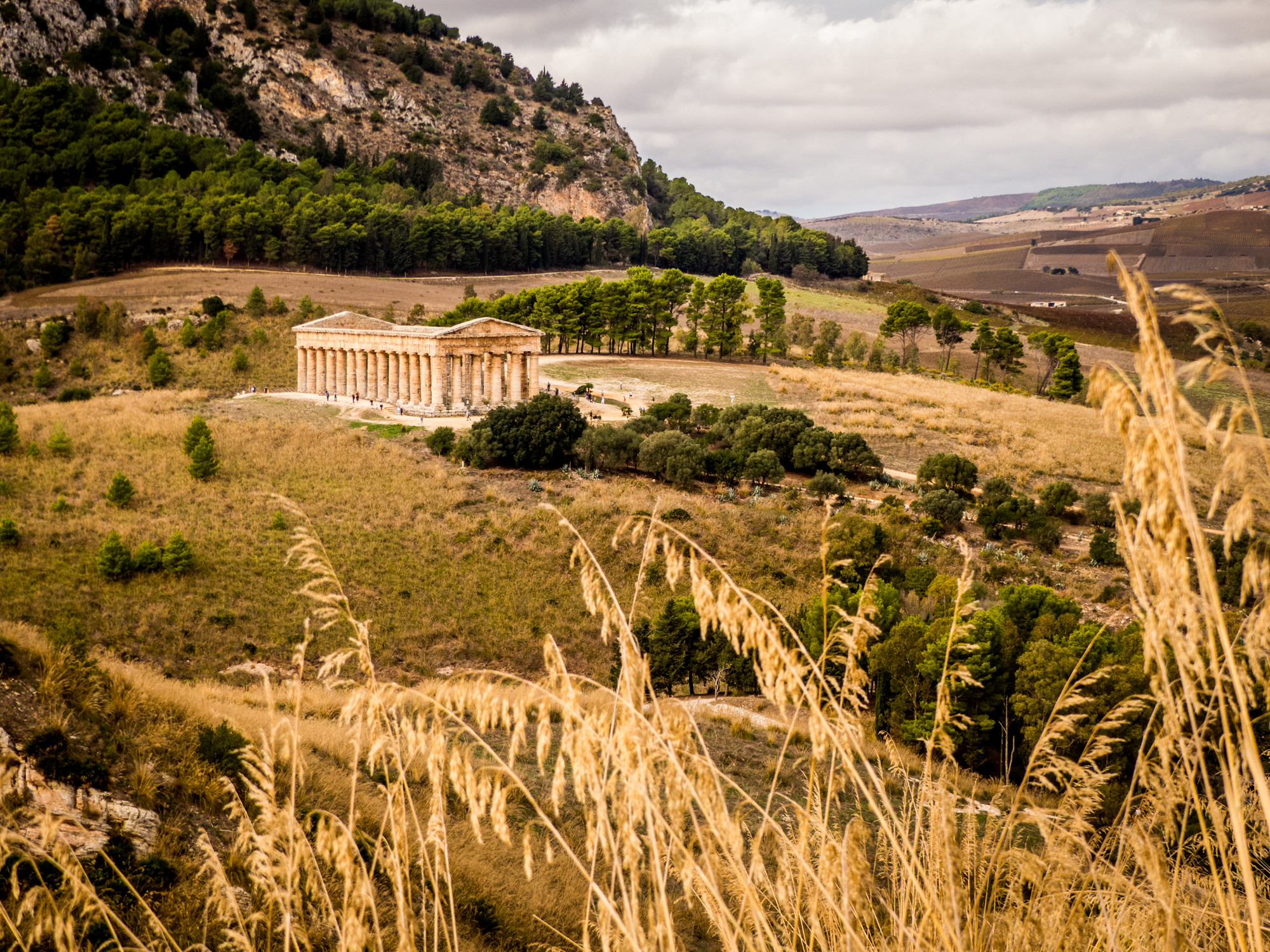 Temple de Segeste