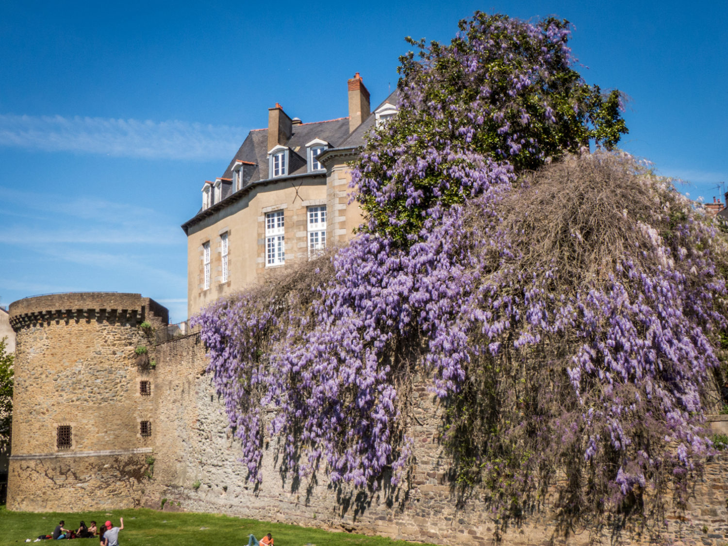 Visiter Rennes en une journée gourmande