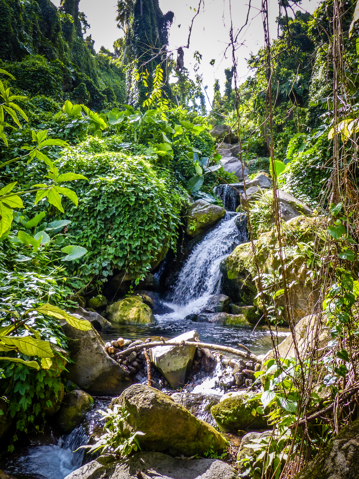cascade-amour-guadeloupe