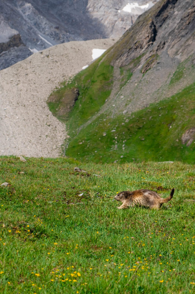 petit tour des glaciers de la vanoise