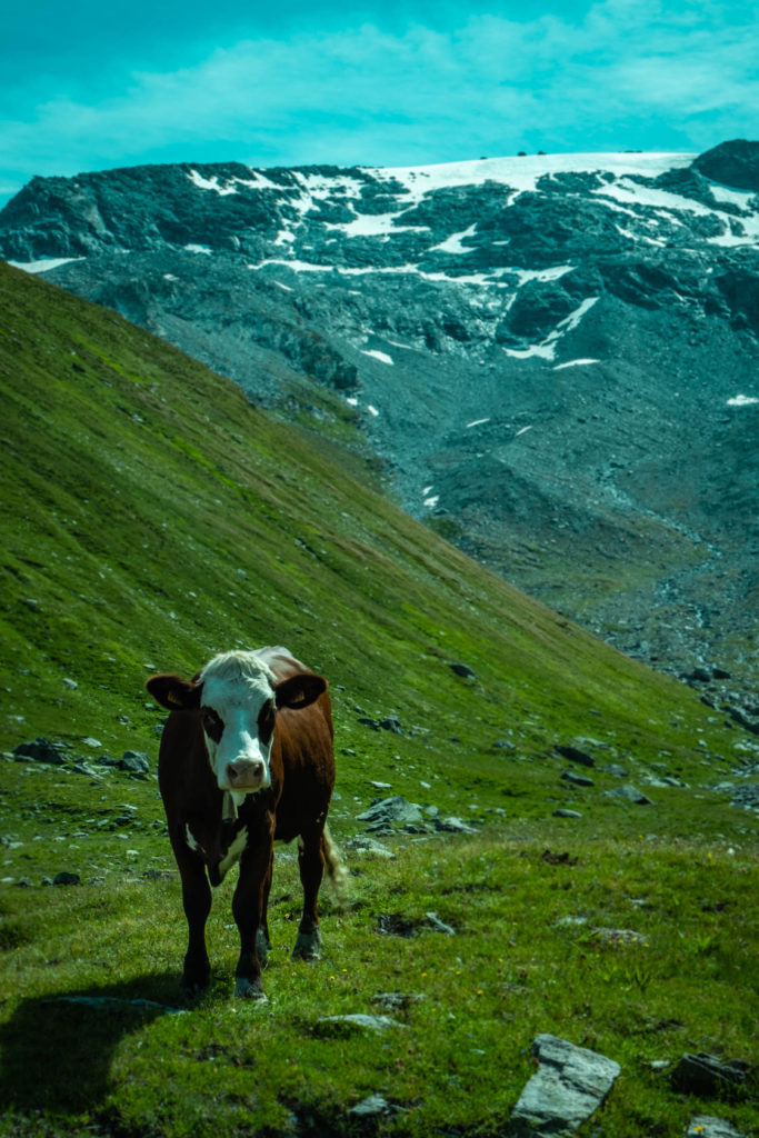 petit tour des glaciers de la vanoise