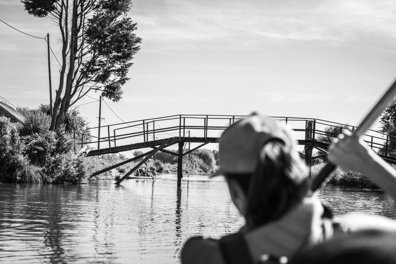 Top 10 des destinations nature en France pour un été plein d’aventures