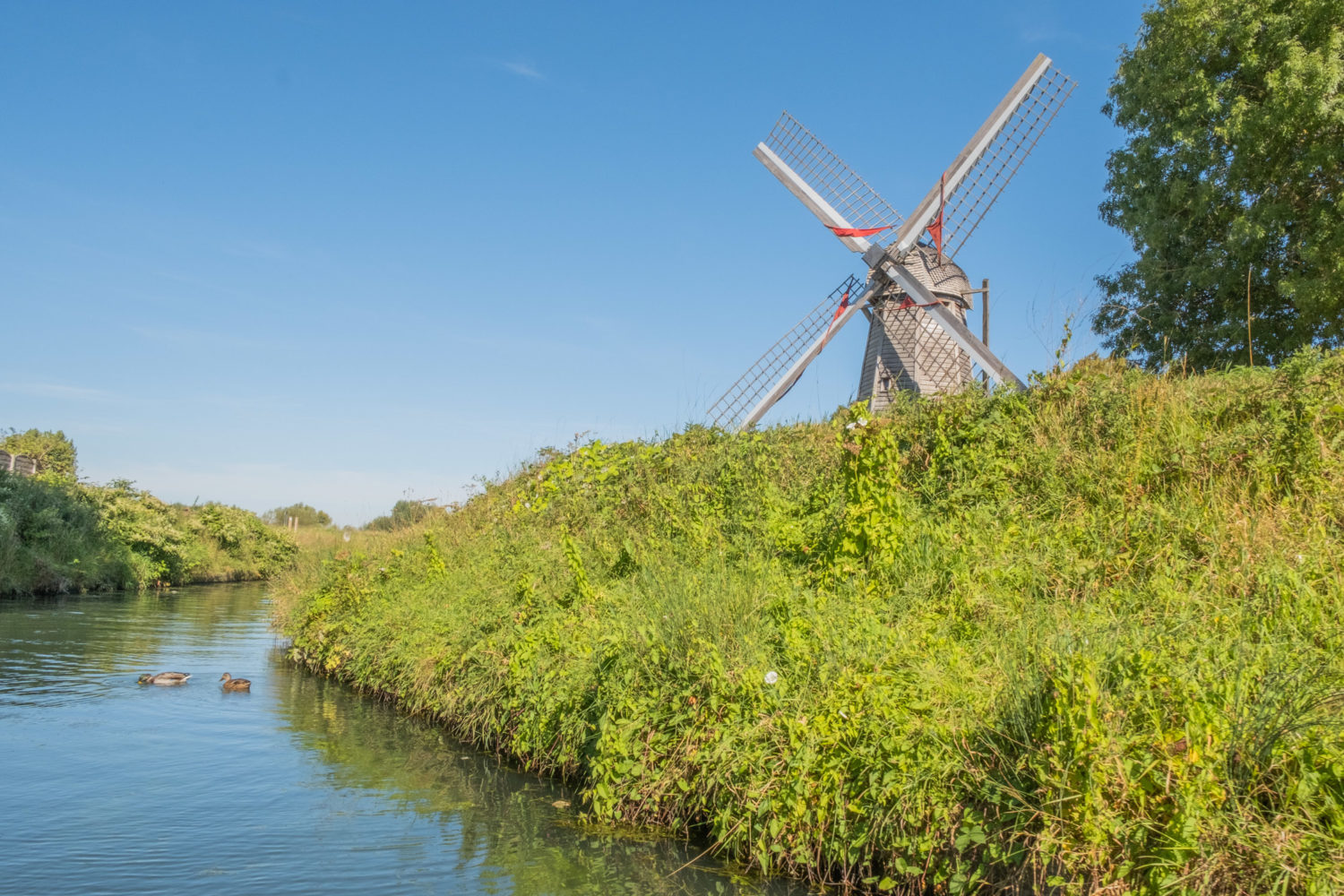 Un week-end à Saint-Omer : sport, gastronomie et culture