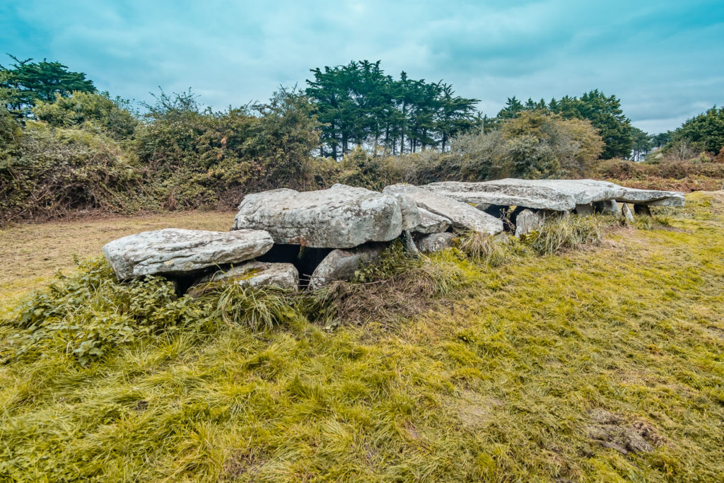 allee-couverte-menhir-prajou-menhir