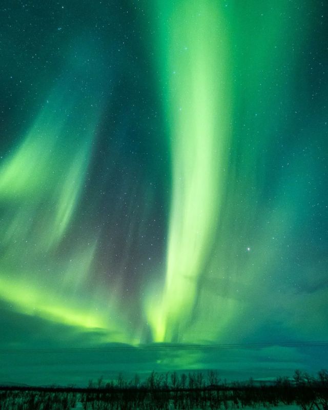 Les aurores débarquent sur le feed 😍  J'ai enfin commencé à trier et traiter mes photos de Suède qui datent de mars dernier, et je retombe sur mes photos d'aurores boréales 🌌  🔥Vous voulez connaître ma réaction lorsque j'ai vu ma vraie 1ere grosse aurore ?  Les larmes aux yeux montent
Les poils se redressent
Le coeur se réchauffe
Les yeux sont ébahis 
On a envie de crier de joie  Quand les rêves deviennent réalité, c'est le meilleur sentiment que l'on puisse ressentir !  ❓Et toi tu as déjà vu des aurores boréales ? Quel a été ta réaction ? Ou rêves tu d'en voir ?
.
.
.
.
. 
#aurore #auroreboreale #auroreboréale #aurora #northernlights #northernlight #northerlightsphotos #northerlightsweden #sweden #photo