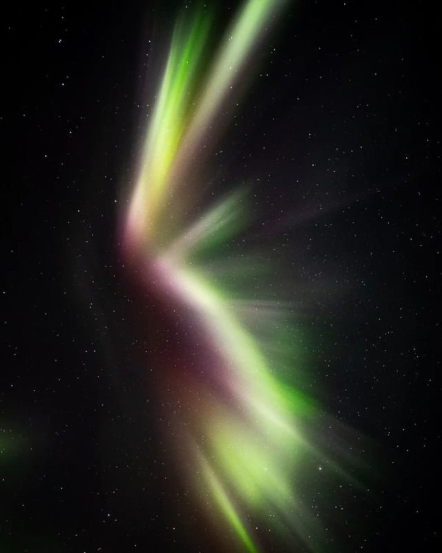 Quand les aurores explosent 😍  Il y a des nuits où la nature est majestueuse. Cette dernière nuit de mon séjour en Suède avec @photographesdumonde sera gravée à jamais dans mon esprit.  J'ai pu voir des aurores danser, exploser, faire des figures de toutes sortes et de toutes les couleurs !  En regardant le ciel, les aurores dessinaient un tableau, que j'ai décidé d'immortaliser... J'ai imprimé cette photo sur toile PVC 50 x 80cm...  Hâte de voir le résultat sous le sapin ce soir 🎄
.
.
.
.
.
.
.
#aurora #auroreboréale #auroreboreale #auroresboreales #auroreborealesuede #auroreborealis #northernlight #northernlights #northerlightsphotos #northerlightsweden #northernlightspainting #northernlightsphotography #northernlightspalette #landscape #landscapephotography #astrophotography #lapland #laplandsweden