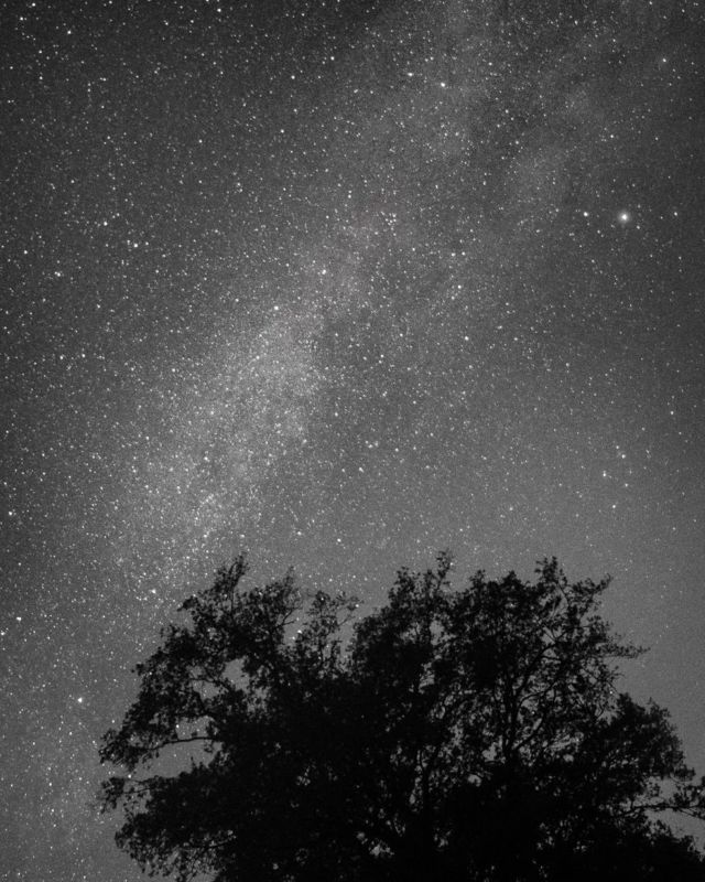 Tomber sur la voie lactée dans le Berry  Le weekend dernier lors de ma chasse aux aurores boréales dans le Berry (dit comme ça, ca fait bizarre), je suis tombé sur un spectacle magique.  Non seulement le ciel m'offrait une Aurore magistrale, mais en plus la voie lactée 🌌 montrait son nez.  Les conditions étaient parfaites : une nuit bien noire, pas de pollution lumineuse, un ciel dégagé, des étoiles 🌟 qui brillent.  Je n'avais pas mon grand angle pour capturer encore plus large et plus d'étoiles (ça m'apprendra) mais la magie a opéré 🤩  Décidément la France et le Berry offrent de belles surprises !
.
.
.
.
.
.
.
#voielactée #voielactee #voielactéephotographie #voielacteephotography #voielacteedenuit #milkyway #milkywaychasers #milkywaypics #milkywayphotography #milkywaygalaxy #milkyway_nightscapes #milkyway_nightscape_